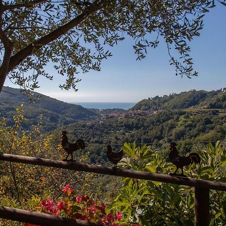 Pietrantica - Affittacamere Con Giardino Nuova Apertura A Trebiano -Citr Екстер'єр фото