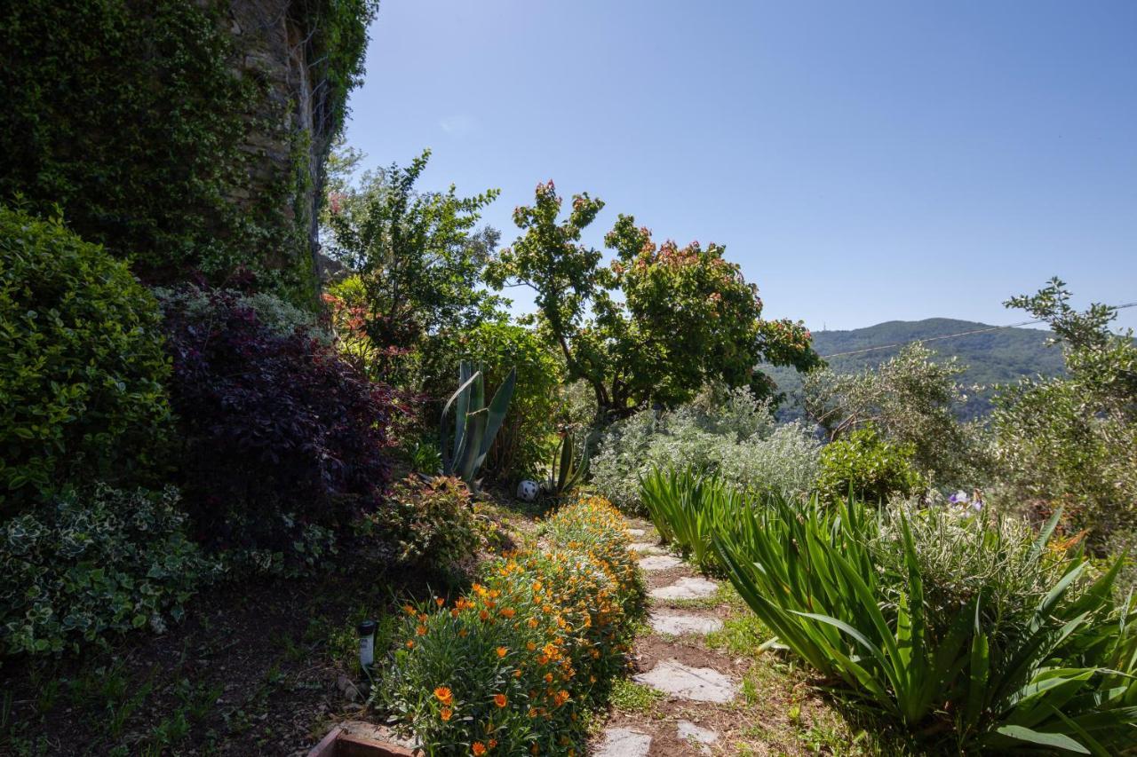 Pietrantica - Affittacamere Con Giardino Nuova Apertura A Trebiano -Citr Екстер'єр фото