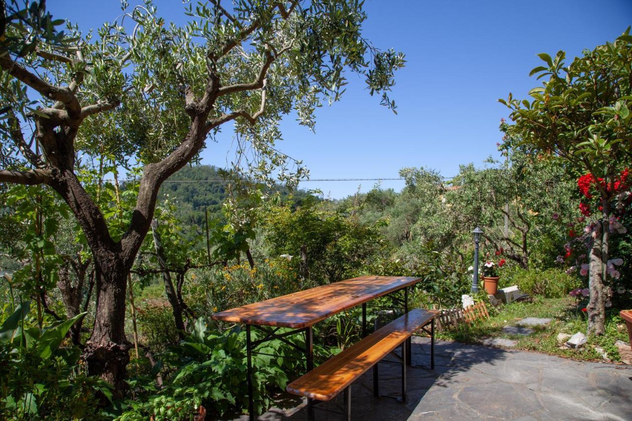 Pietrantica - Affittacamere Con Giardino Nuova Apertura A Trebiano -Citr Екстер'єр фото