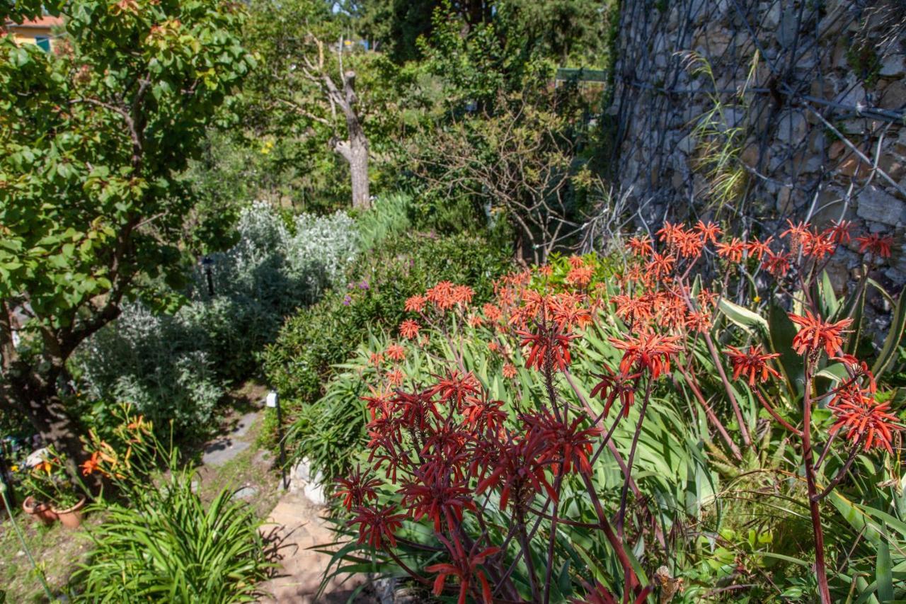 Pietrantica - Affittacamere Con Giardino Nuova Apertura A Trebiano -Citr Екстер'єр фото