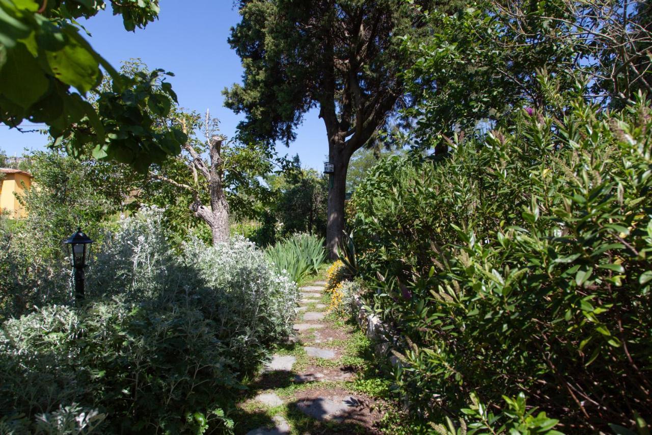 Pietrantica - Affittacamere Con Giardino Nuova Apertura A Trebiano -Citr Екстер'єр фото
